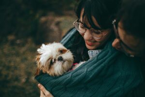 Pet Insurance Plans That Protect Your Furry Friends